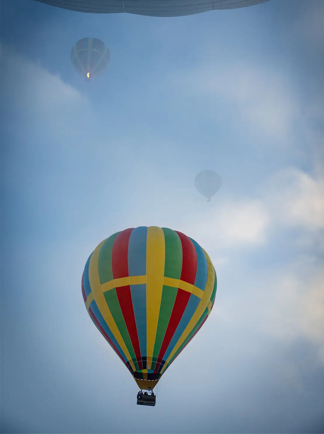 Balloons floating in the mist