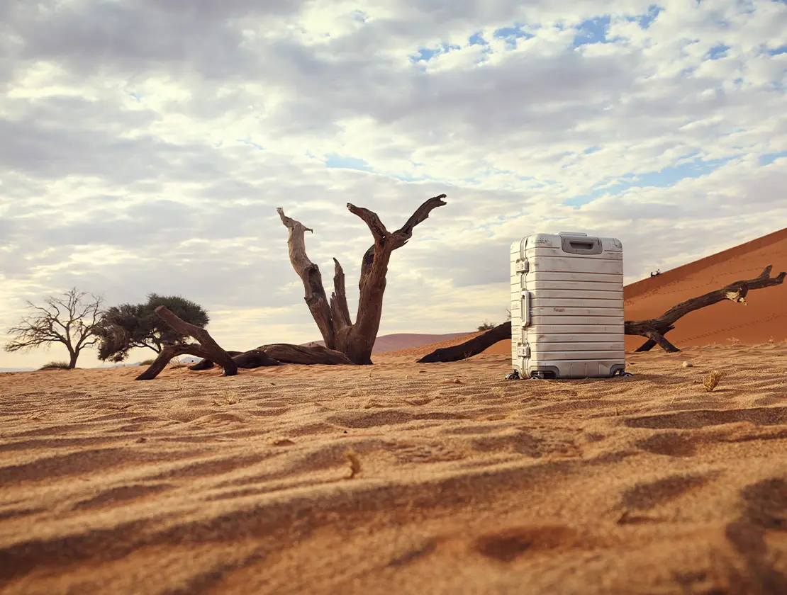 Suitcase in the desert