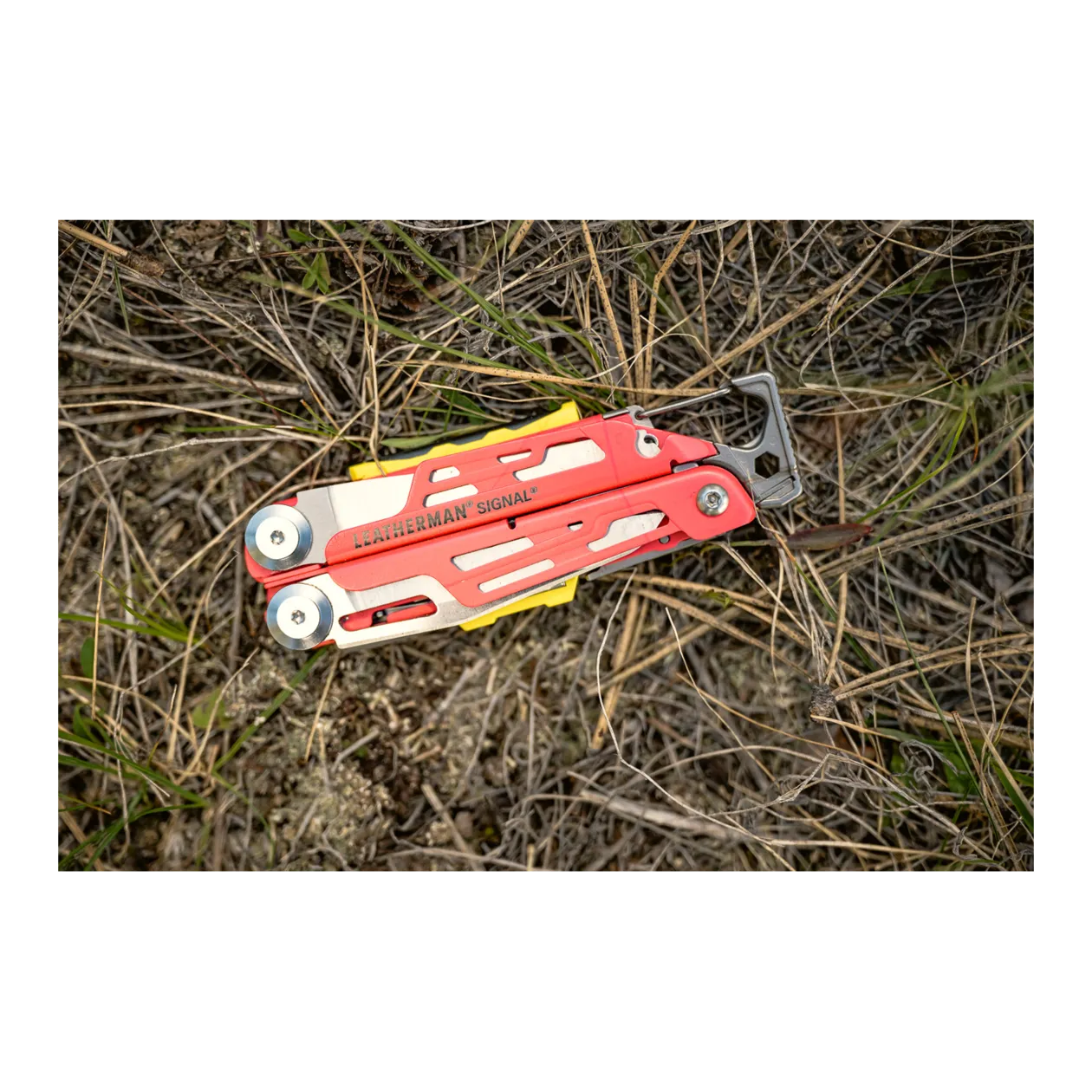 Leatherman Signal® Multi-Tool, Guava