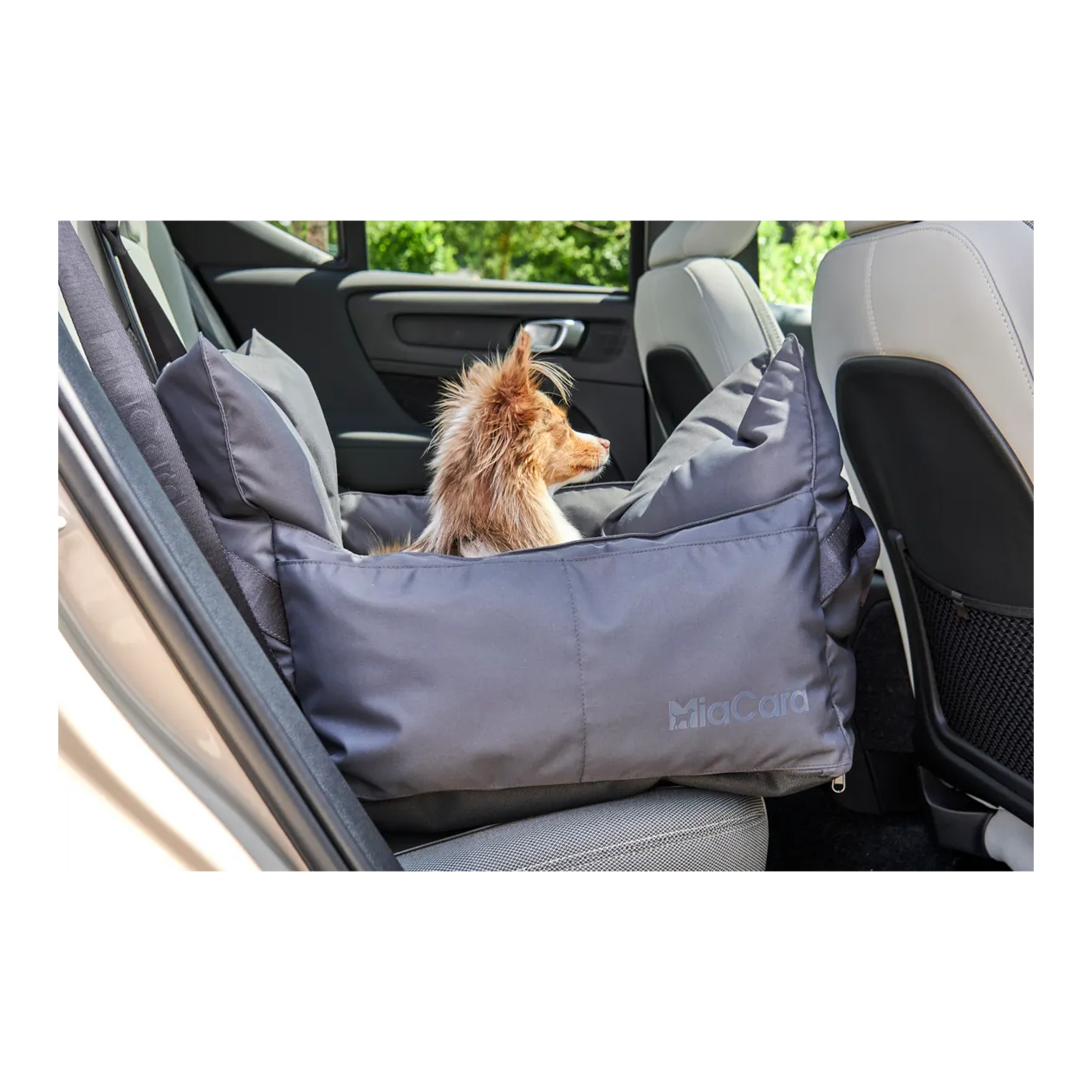 MiaCara Viaggio Panier de voyage pour chien, asphalte