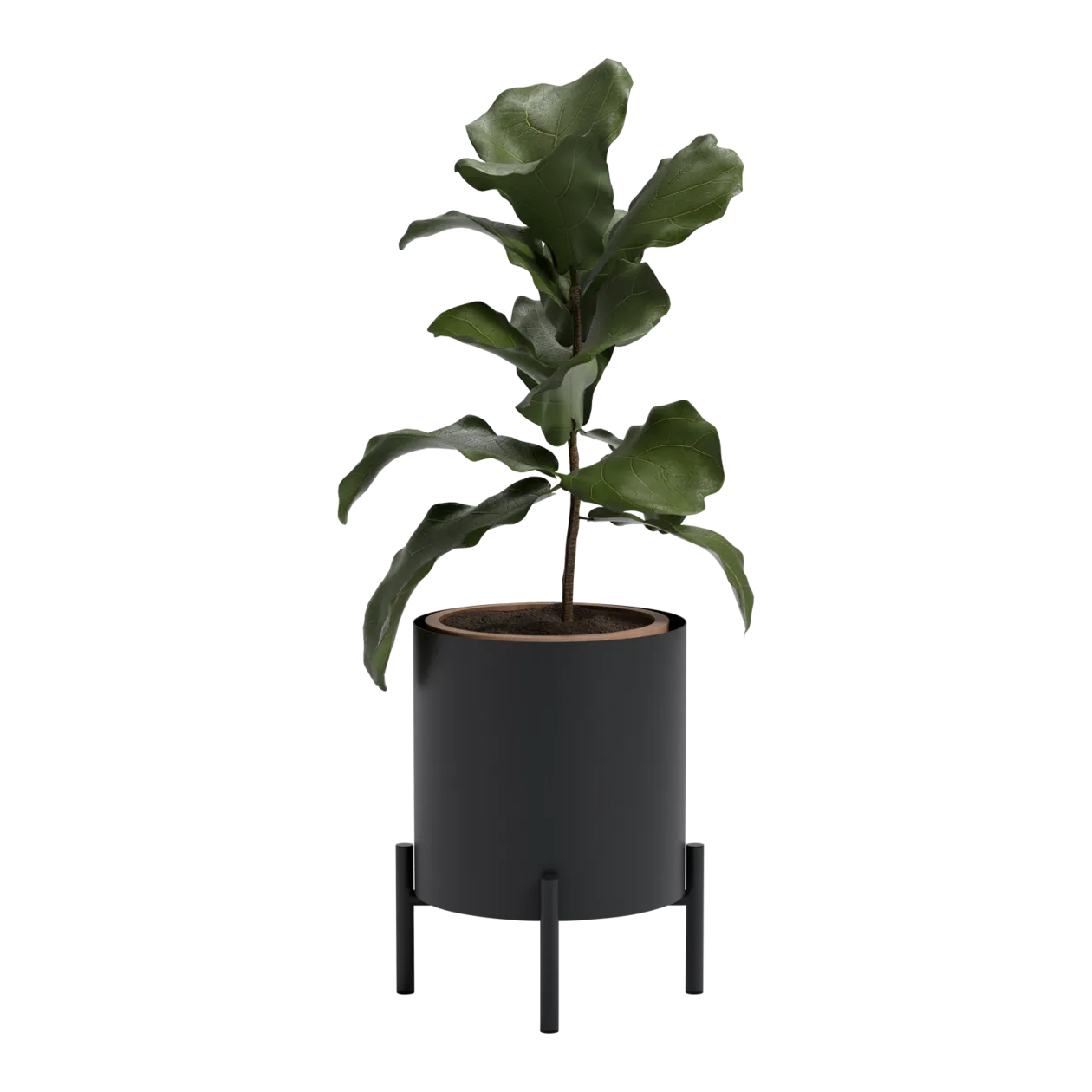 eva solo Simply Grow Pot de fleurs à réserve d'eau, noir