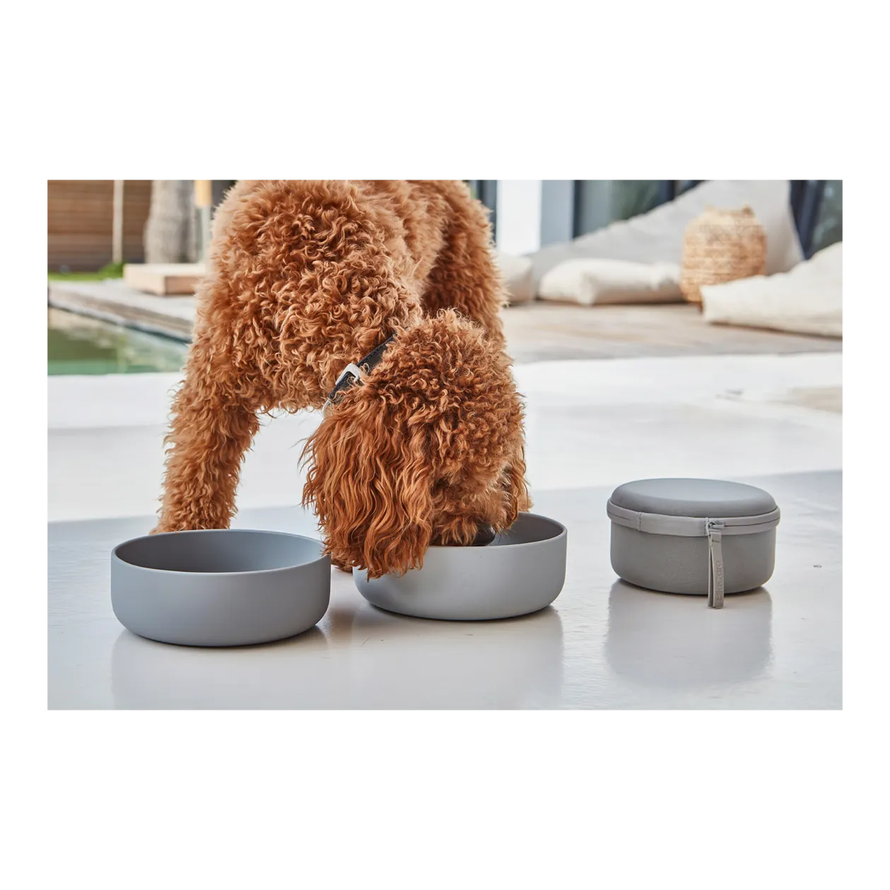 MiaCara Bento Dog Food Container + Travel Bowl Set, 3 pcs., Concrete/Slate