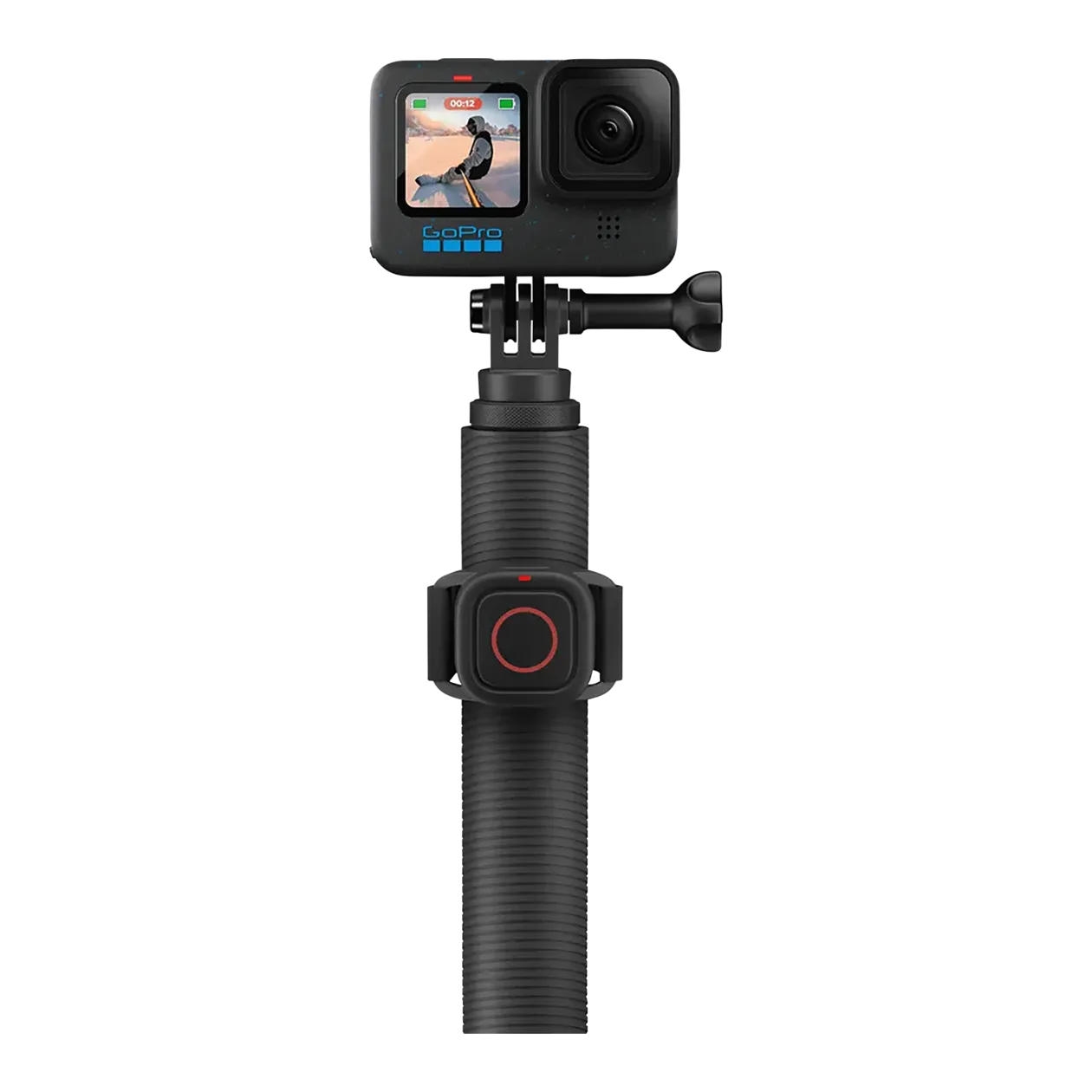 GoPro Extension Pole + Shutter Remote EU Accessoire, noir