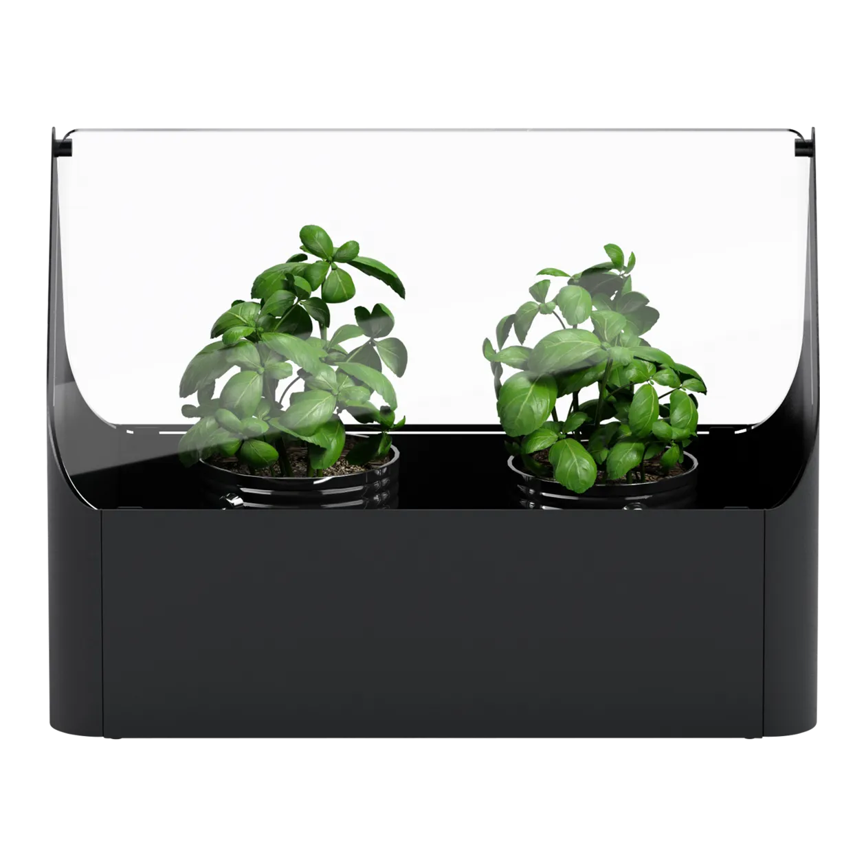 eva solo Simply Grow Mini serre à réserve d'eau, noir