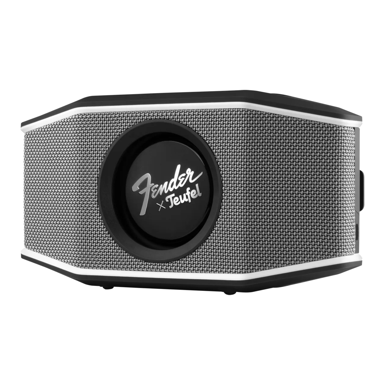 Teufel x Fender ROCKSTER GO 2 Altoparlante portatile, Black/Steel