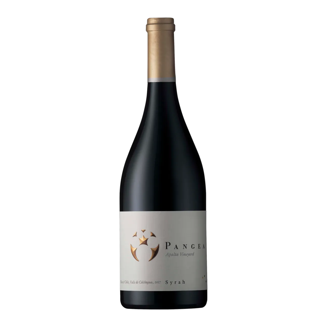 Ventisquero Pangea Apalta Vineyard Syrah 2017, Cile