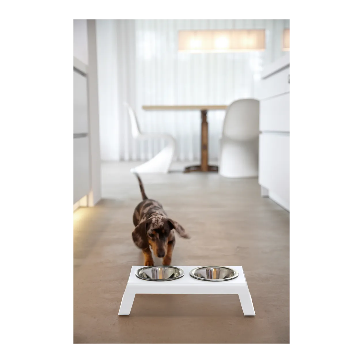 MiaCara Desco Dog Bowl Stand + Stainless Steel Bowls, S,Powder-Coated White