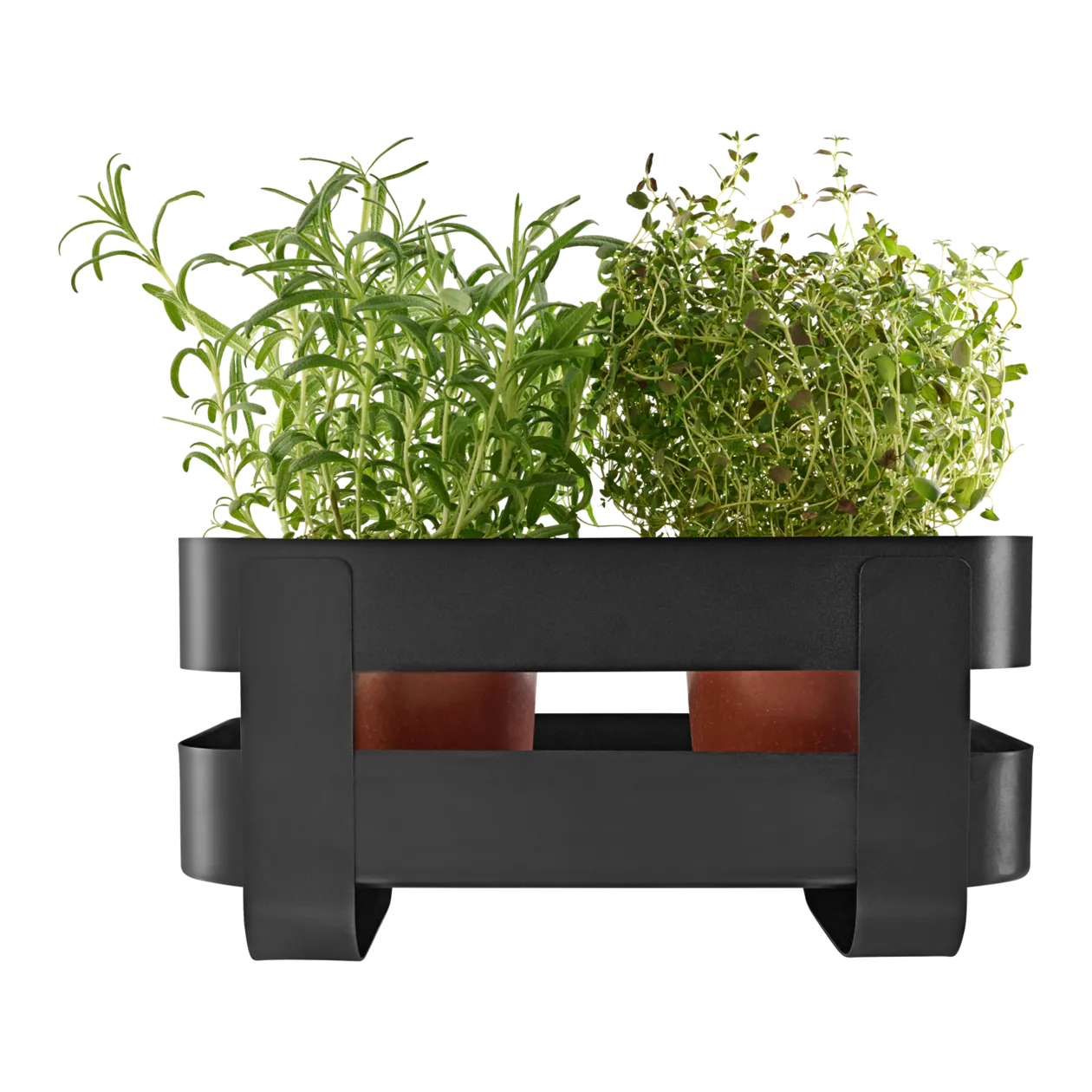 eva solo Herb Organiser Jardinière à herbes à réserve d'eau pour la cuisine, noir