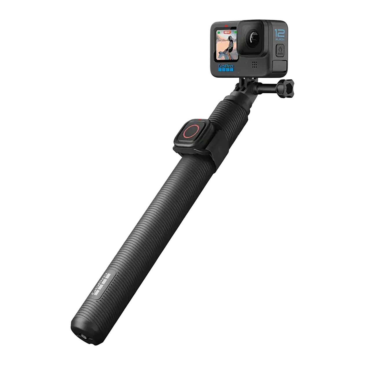 GoPro Extension Pole + Shutter Remote EU Accessoire, noir