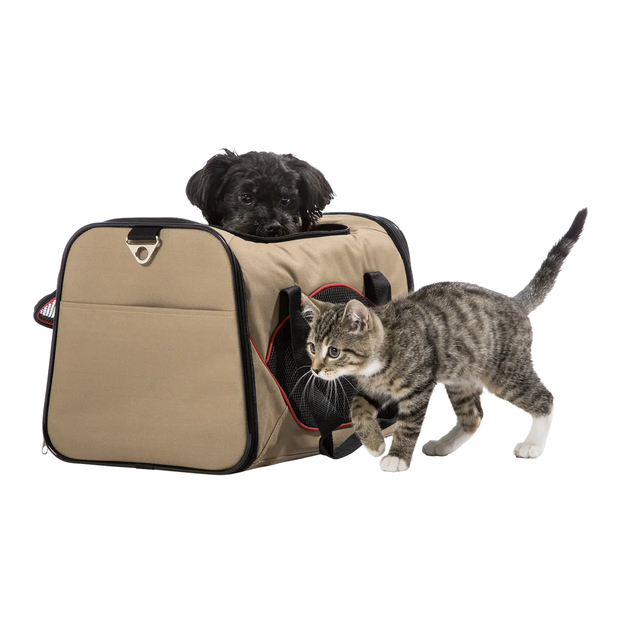 Hunter Kansas Carry Bag for Pets, Beige/Red