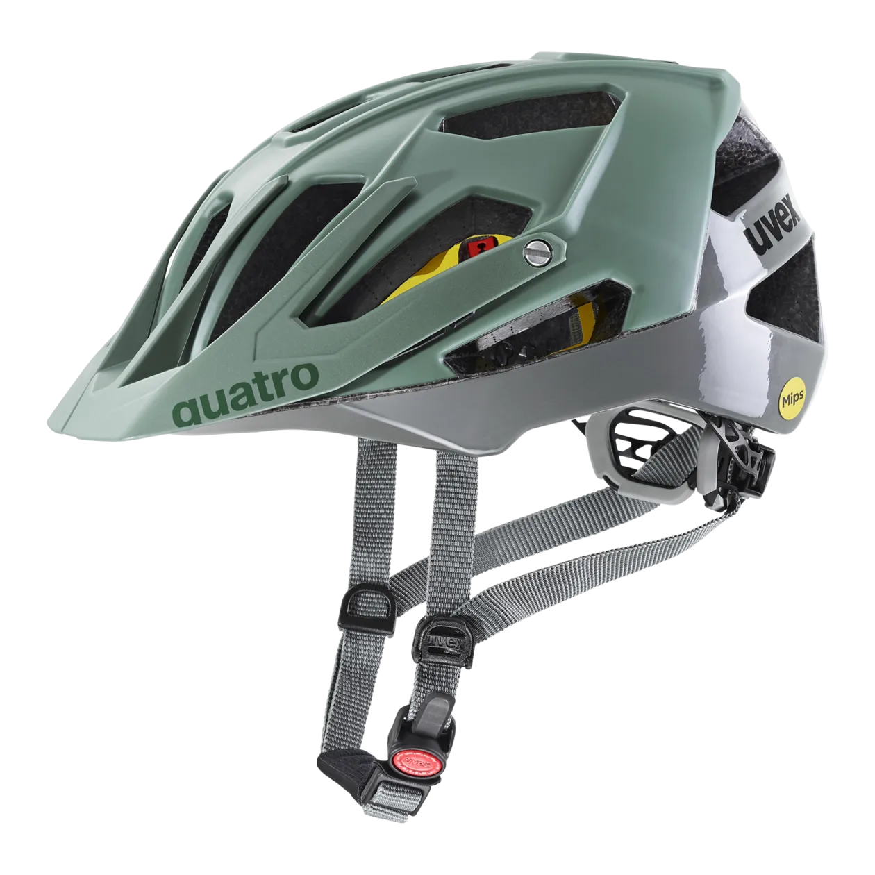 uvex quatro cc MIPS Fahrradhelm, 52-57 cm, Moss Green / Rhino Ma