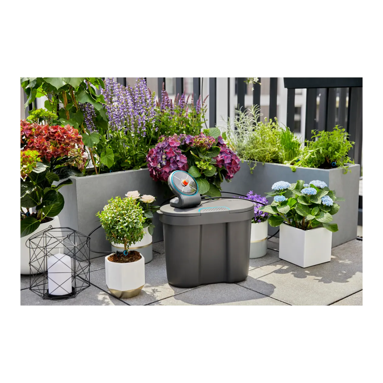 GARDENA AquaBloom Solution d'arrosage automatique solaire, avec réservoir d'eau